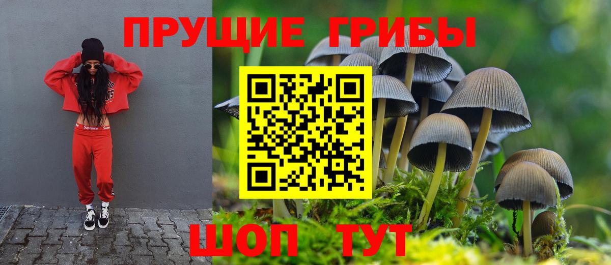 Галлюциногенные грибы Psilocybine cubensis  Вход с VPN  Саяногорск 