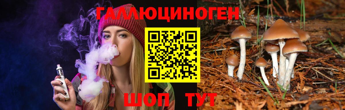 Псилоцибиновые грибы Cubensis Саяногорск